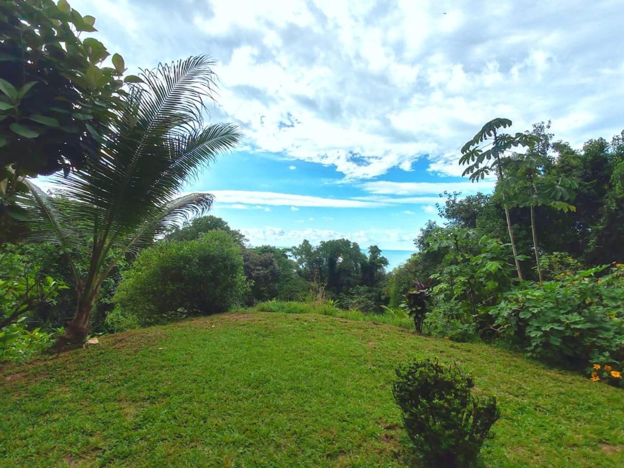 Corcovado Green Cabin & House Drake Bay ภายนอก รูปภาพ