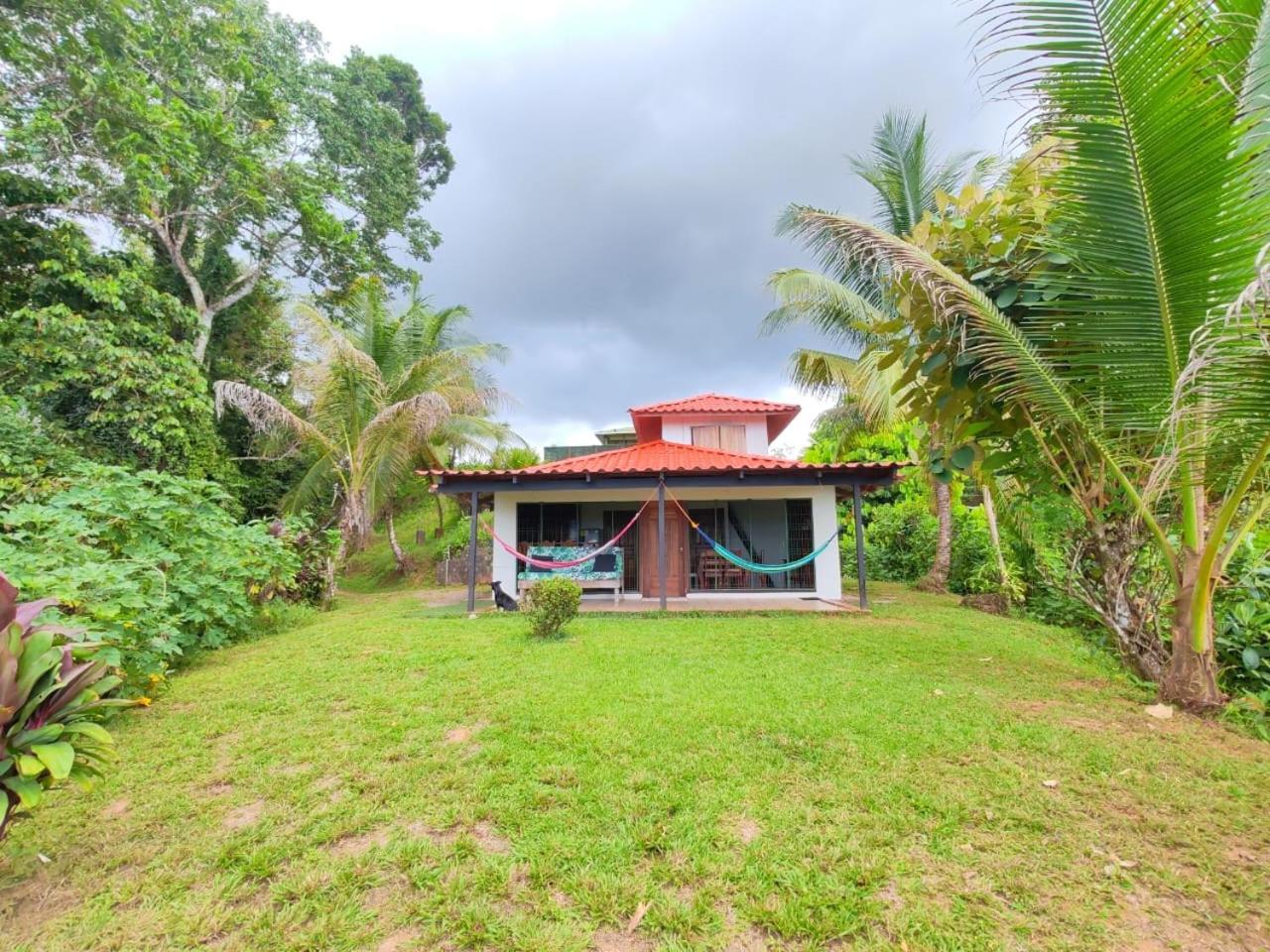 Corcovado Green Cabin & House Drake Bay ภายนอก รูปภาพ