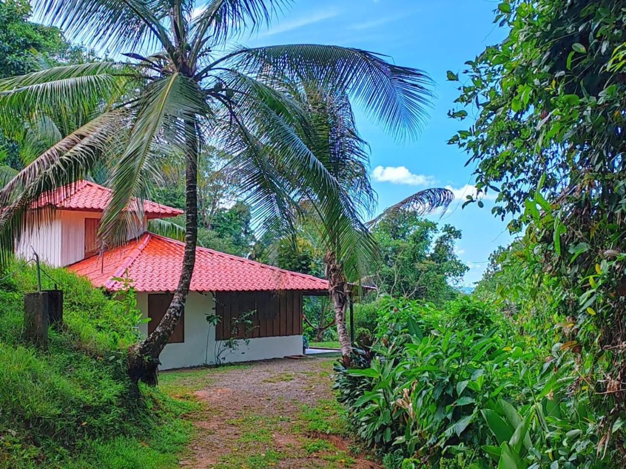 Corcovado Green Cabin & House Drake Bay ภายนอก รูปภาพ