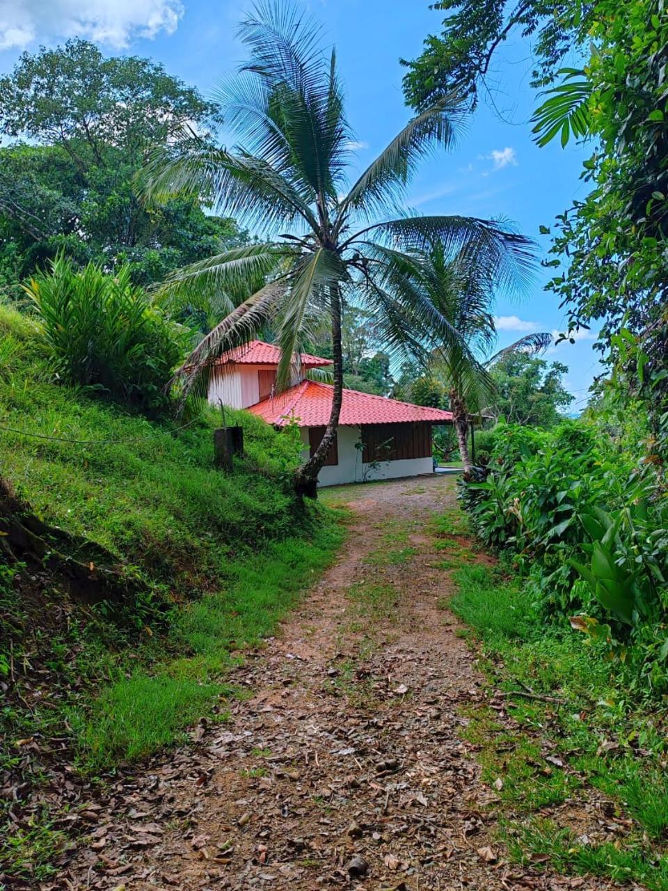 Corcovado Green Cabin & House Drake Bay ภายนอก รูปภาพ
